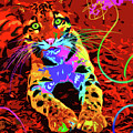 pOpCat Baby Leo