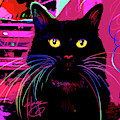 pOpCat Morticia